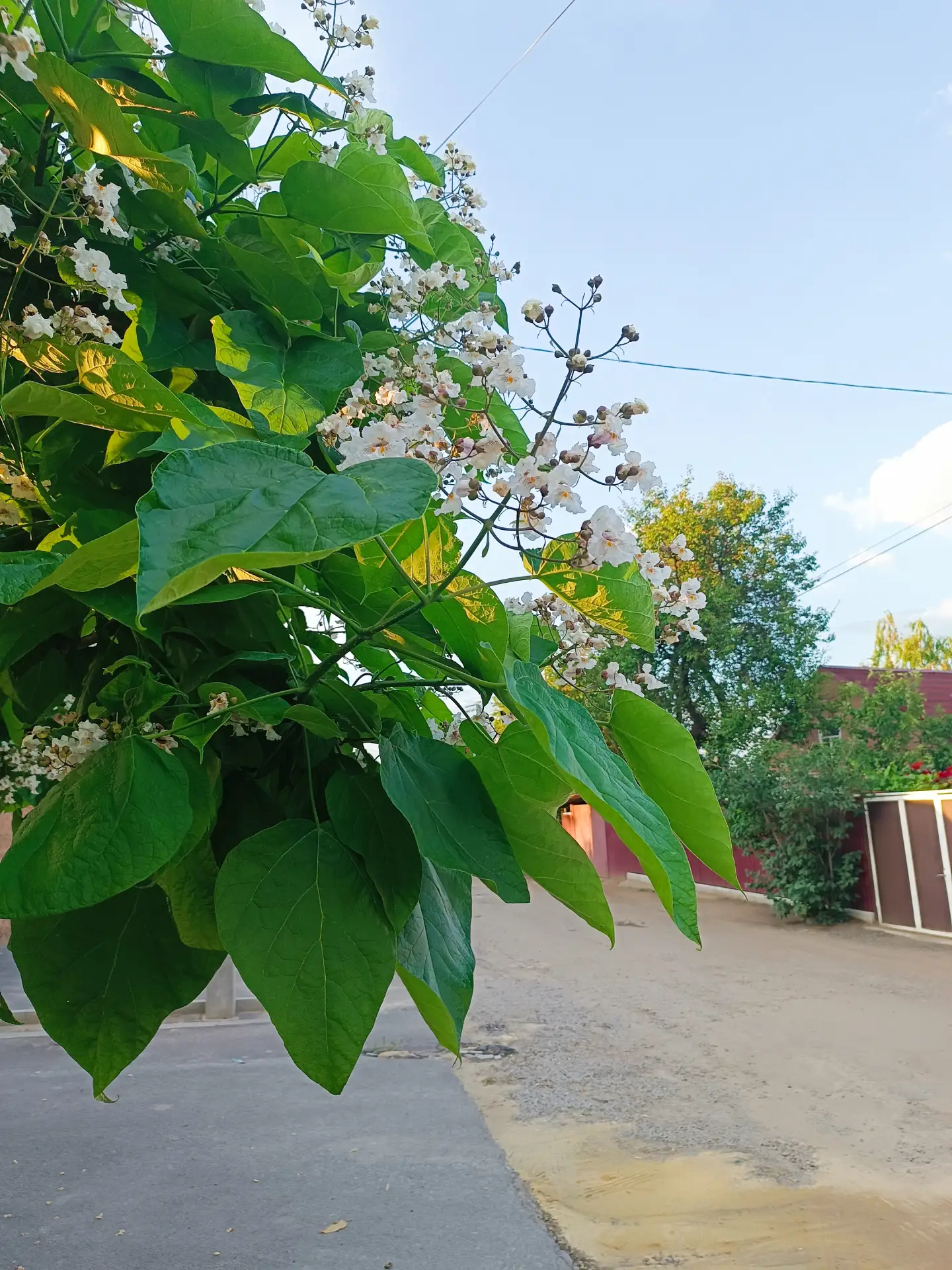 Доброе утро, север Дона ☀ 🌝⏰