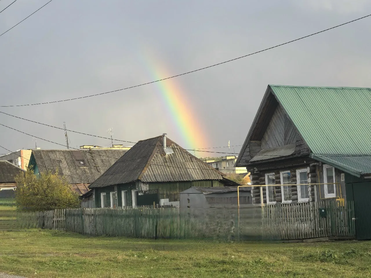 Наступило похолодание всерьез. С утра — дождь, а в прогнозе на день даже значится одна ...