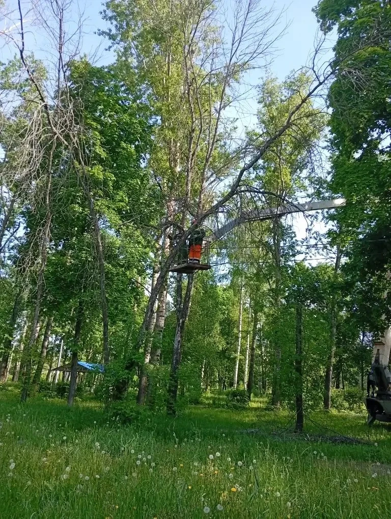 Добрый вечер, дорогие Рязанцы!