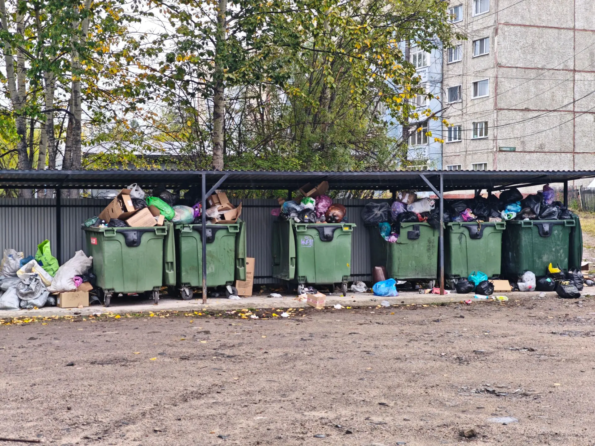 Ситуация с мусором: что происходит и как я это вижу