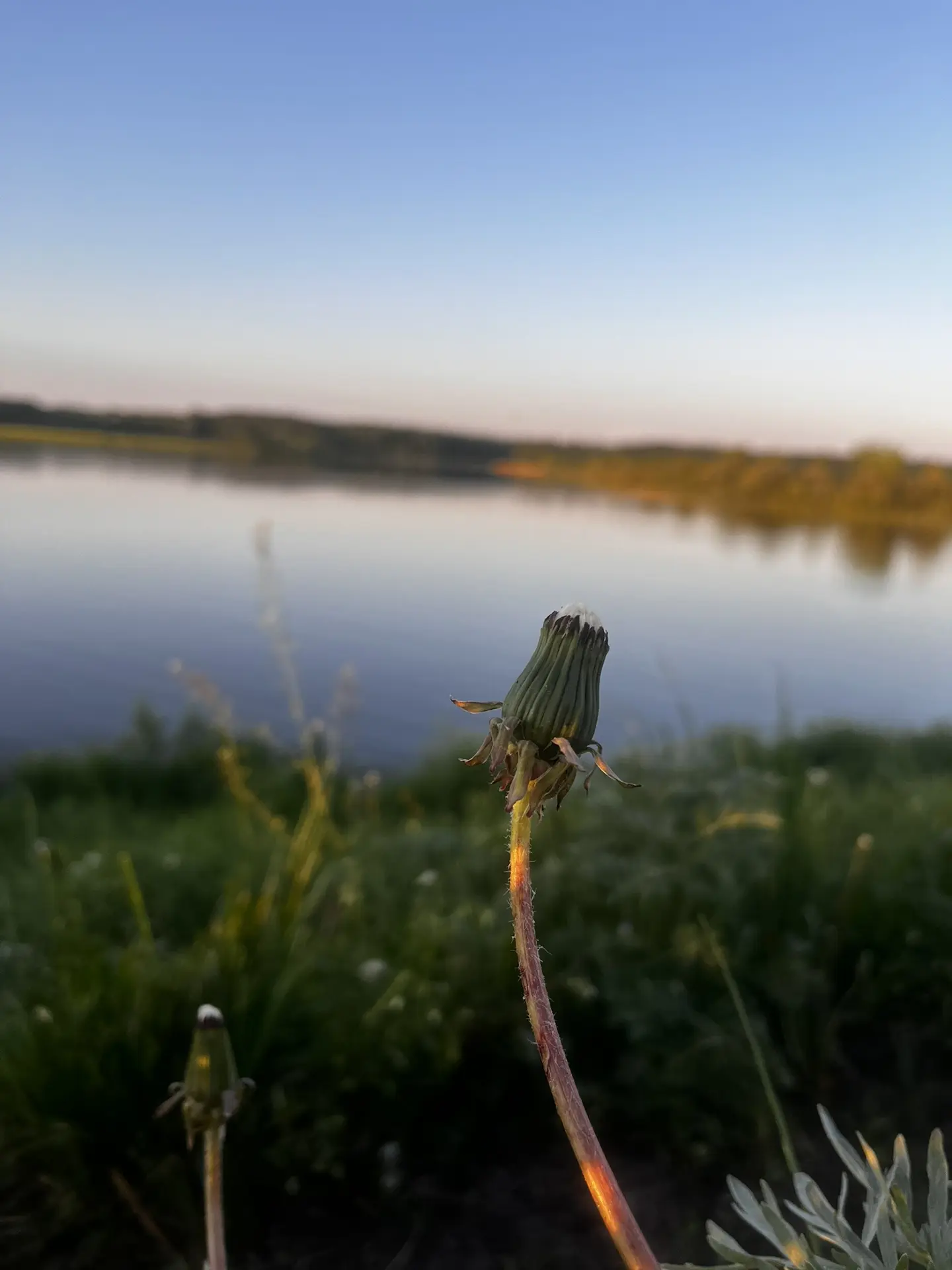 Благодать😇