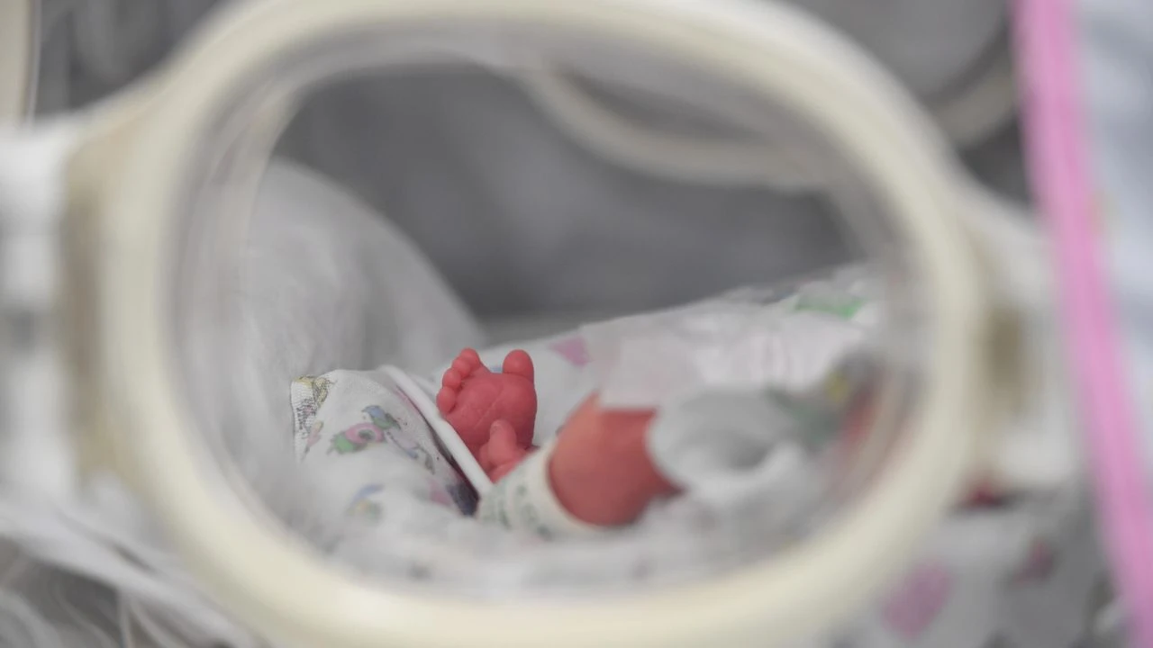 👩‍🍼 Маткапитал в России увеличится на 6,8%