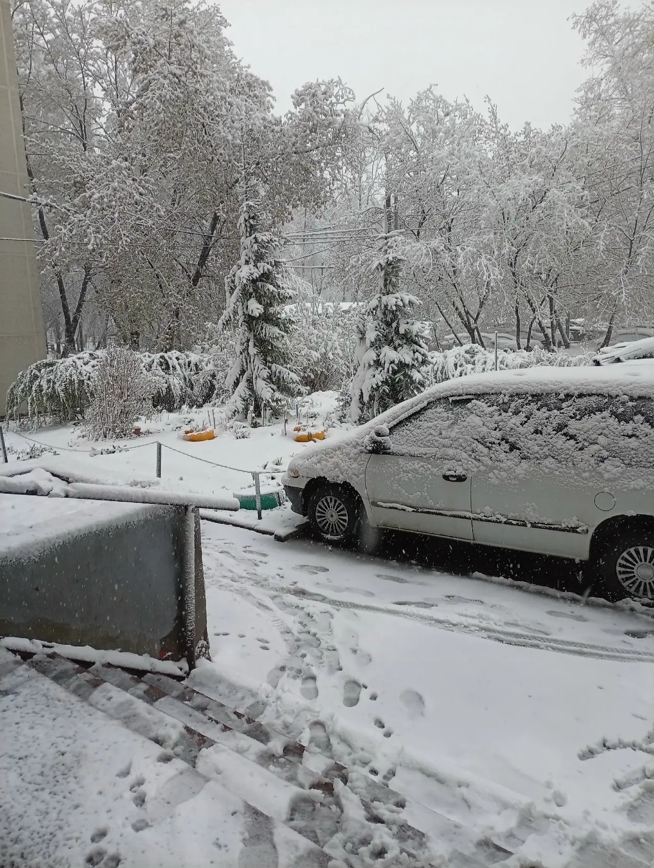 ❄️«Люблю зиму в начале мая».  Снег возвращается в центральную Россию!   Мощный снегопад прошлой ночь