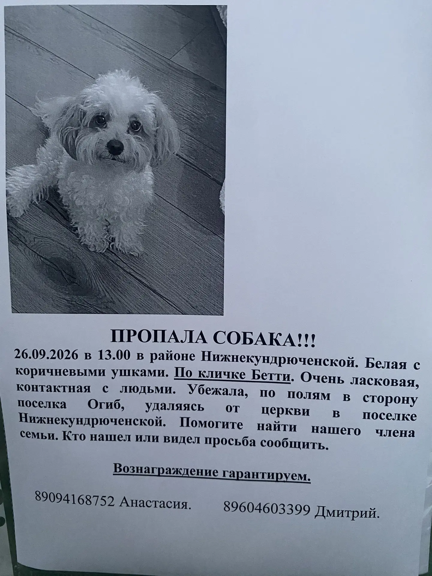 Есть вероятность что подобрали грибники  из любой точки Ростовской области. Срочно расп...