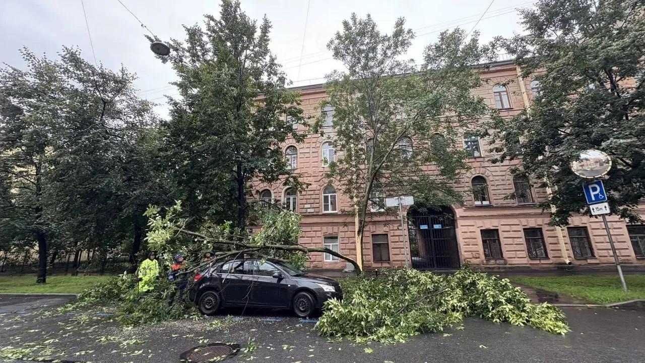 ⛈️Вчерашний день стал самым дождливым за всю историю наблюдений в Питере, — синоптики.