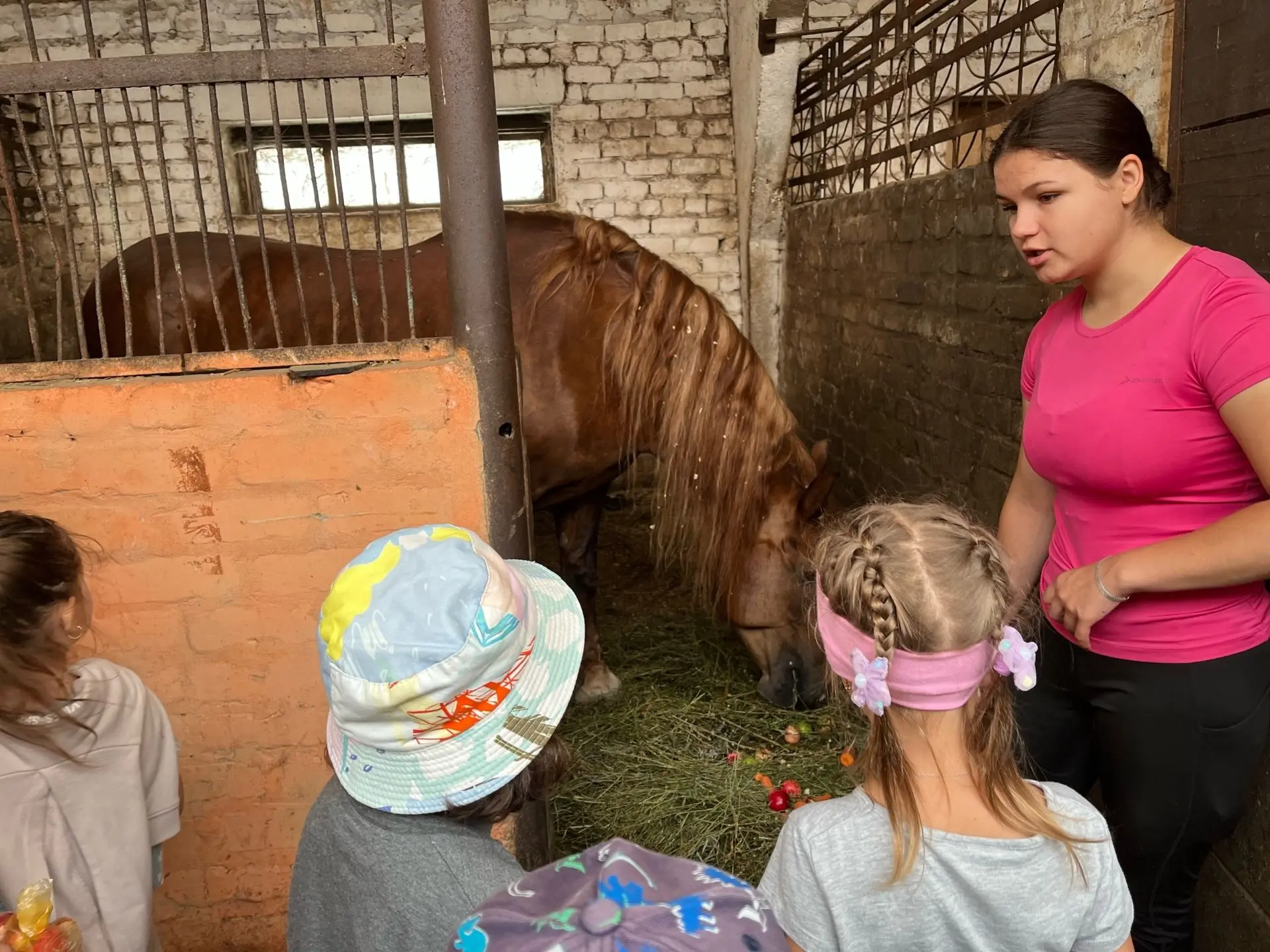ЭКСКУРСИЯ НА КОНЮШНЮ знакомство с лошадками