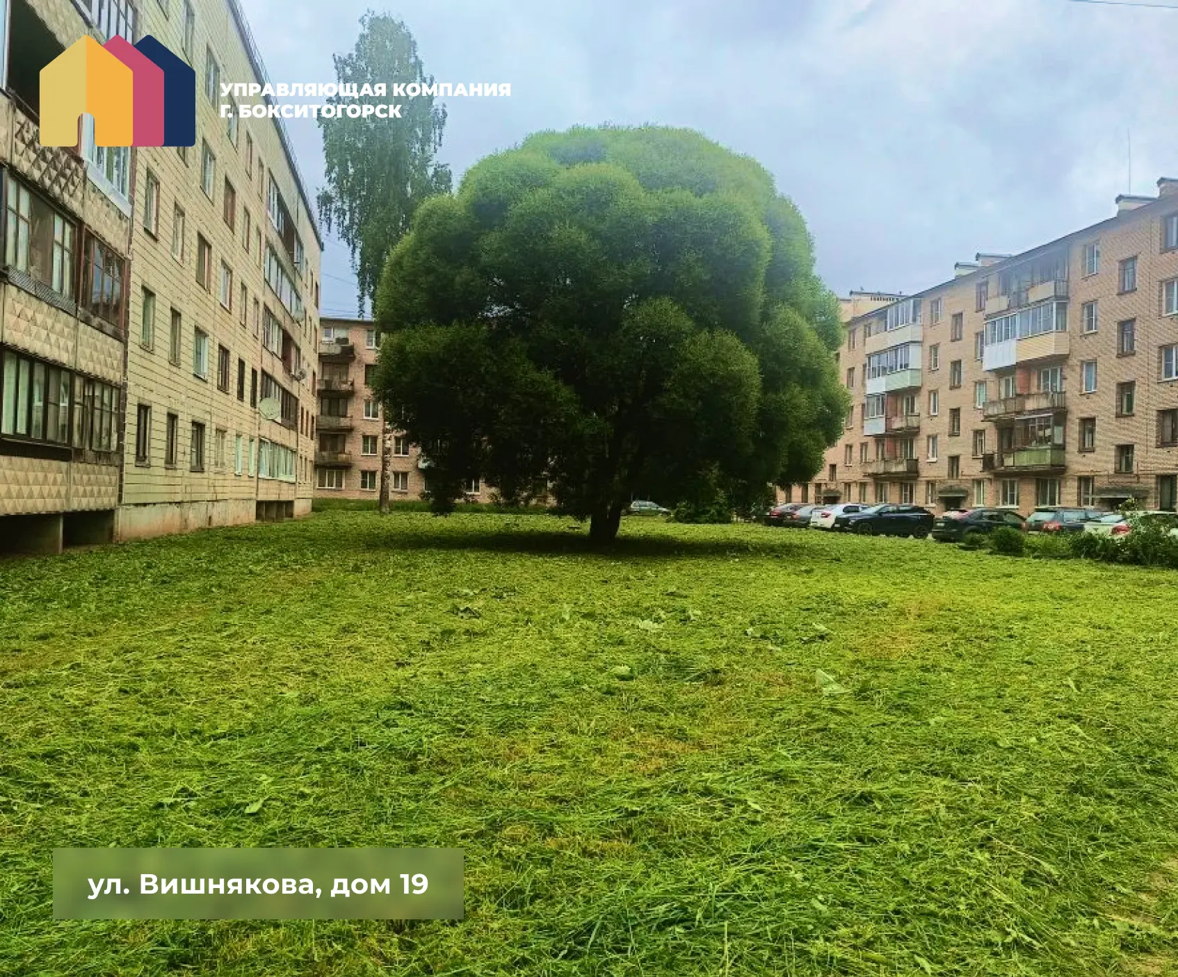 🌿 Волшебство рядом: открываем красоту двора!