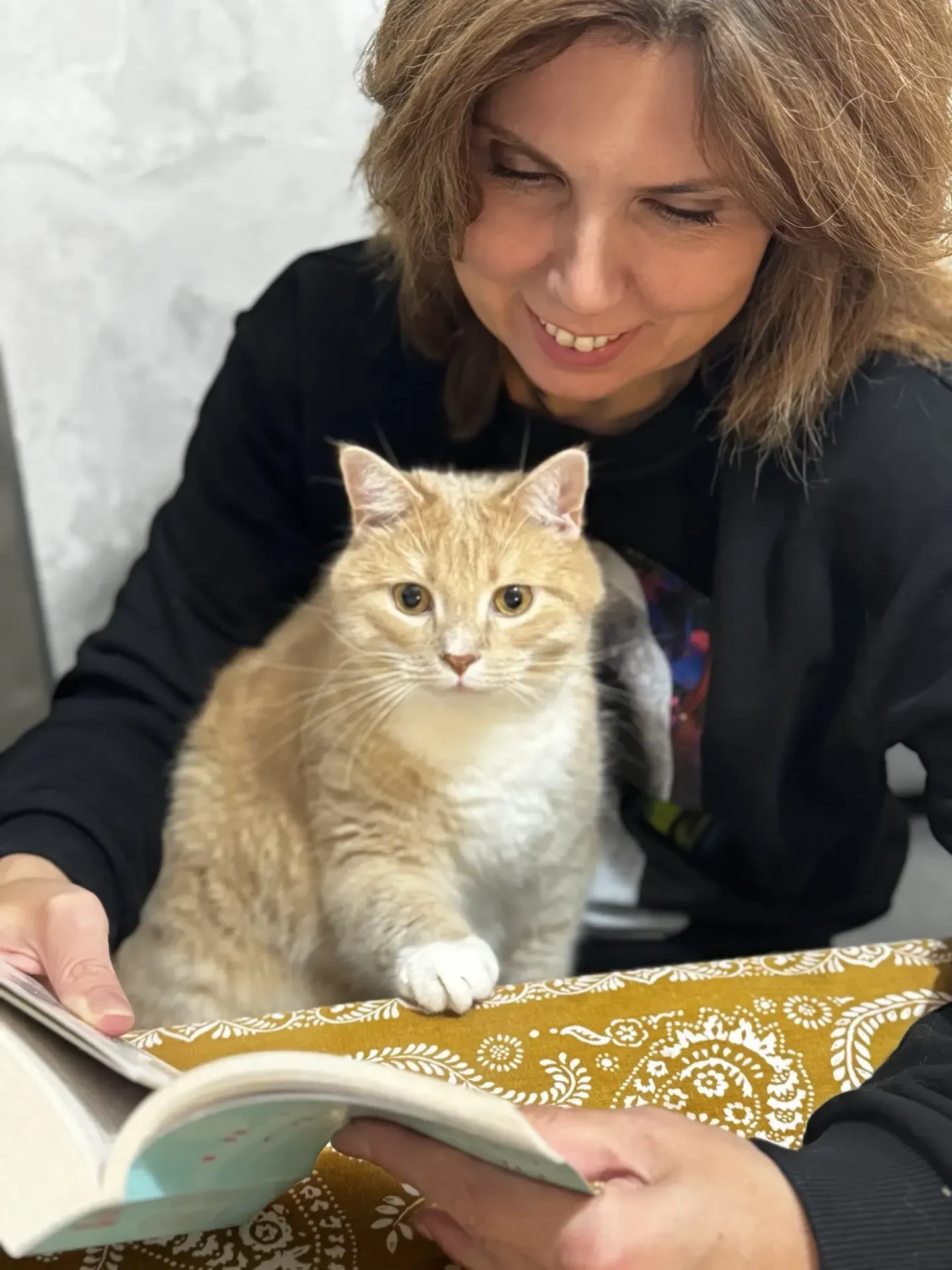 В День защиты животных — немного домашнего  🐾