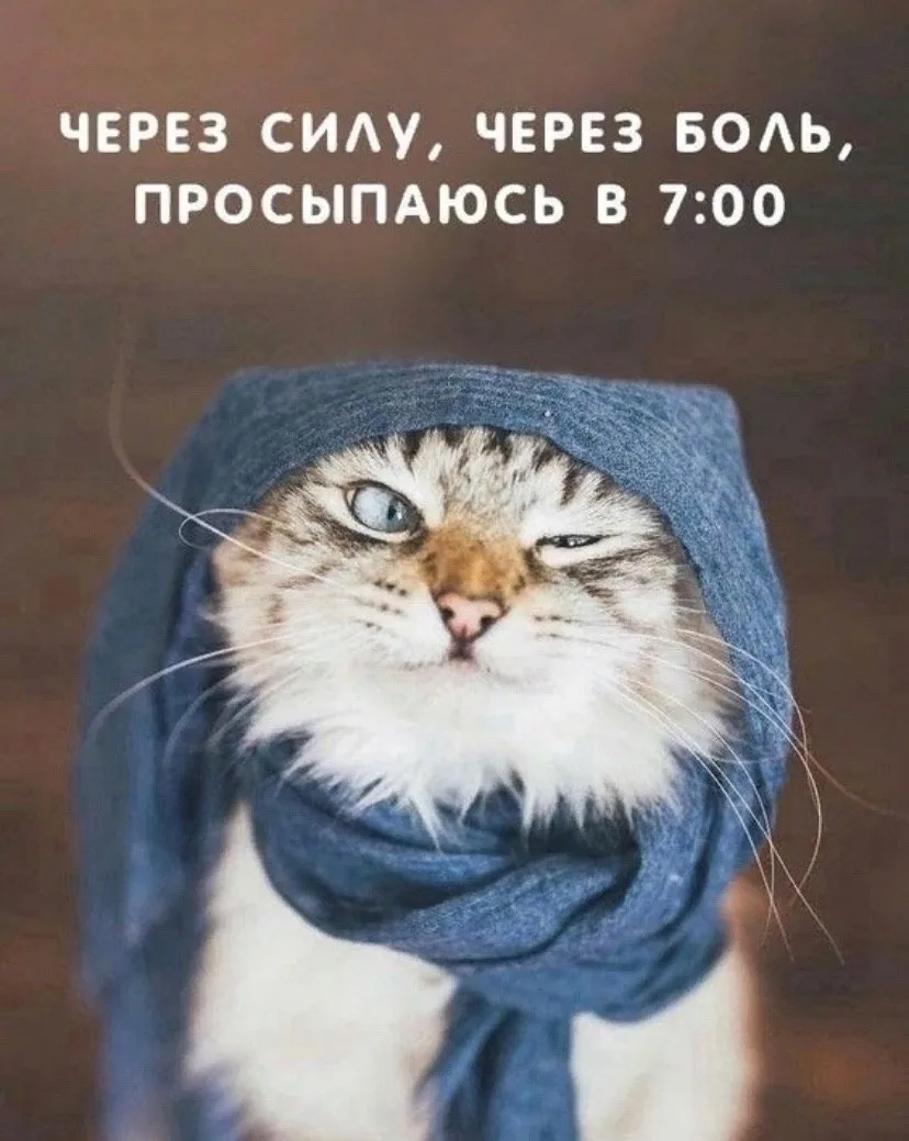 🇷🇺  Мы в МАХ : https://max.ru/derzkaya_htuhka