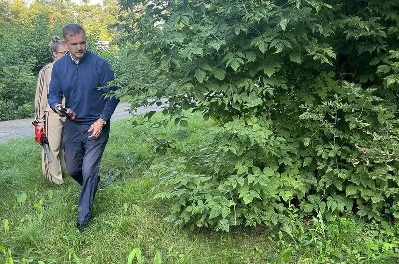 В Ангарске обрезают кусты, которые мешают обзору на дорогах