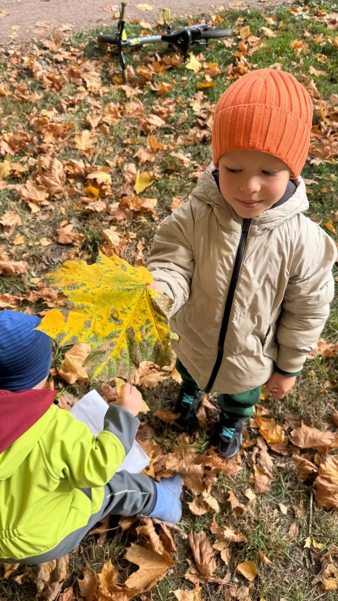 Осенние выходные))🍂