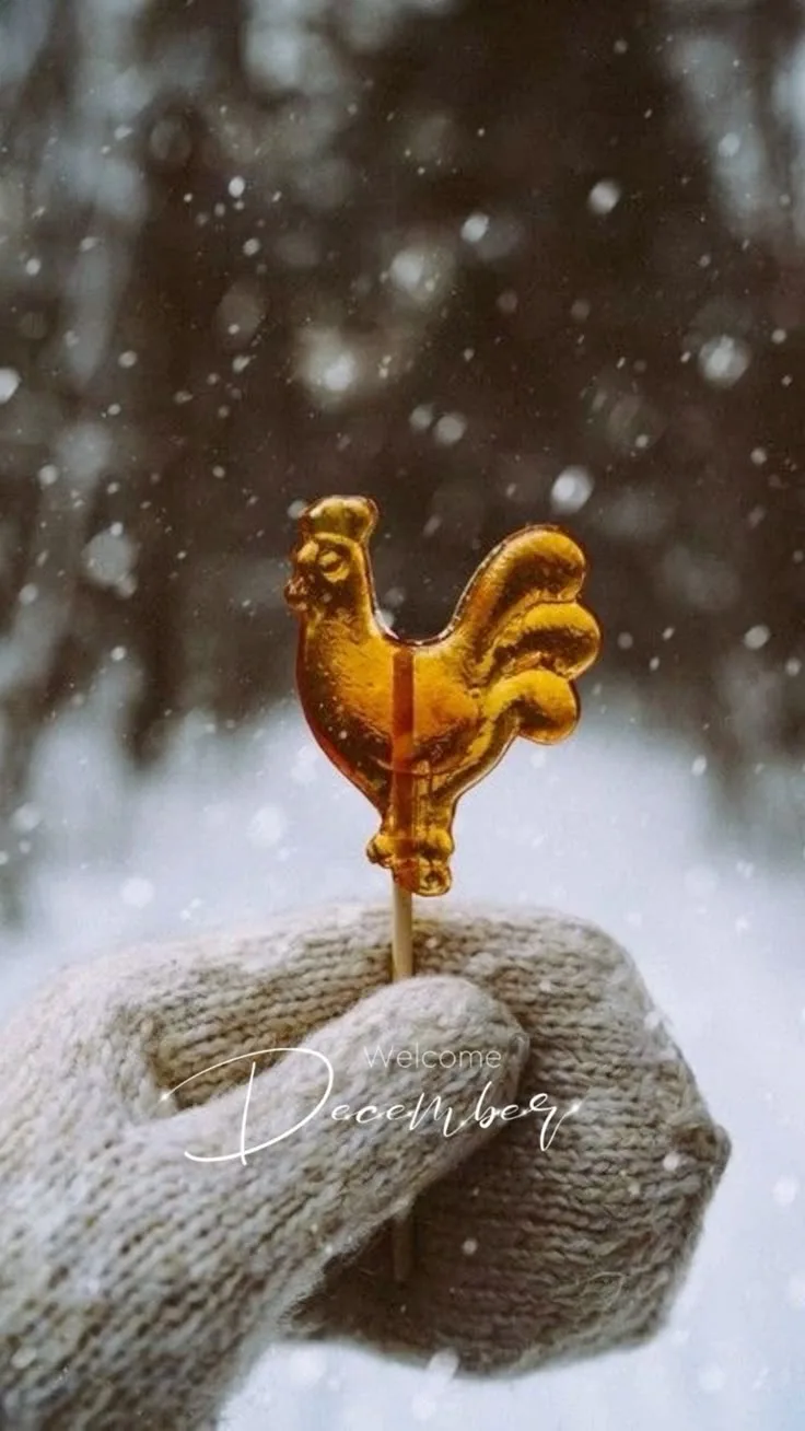 Всех в первым днём зимы ❄️ Не знаю как вам,лично мне хочется снега,мороза….чтобы прям на холоде щёки