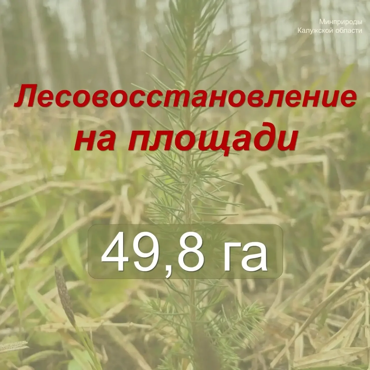 Весенний этап компенсационного лесовосстановления подходит к завершению!