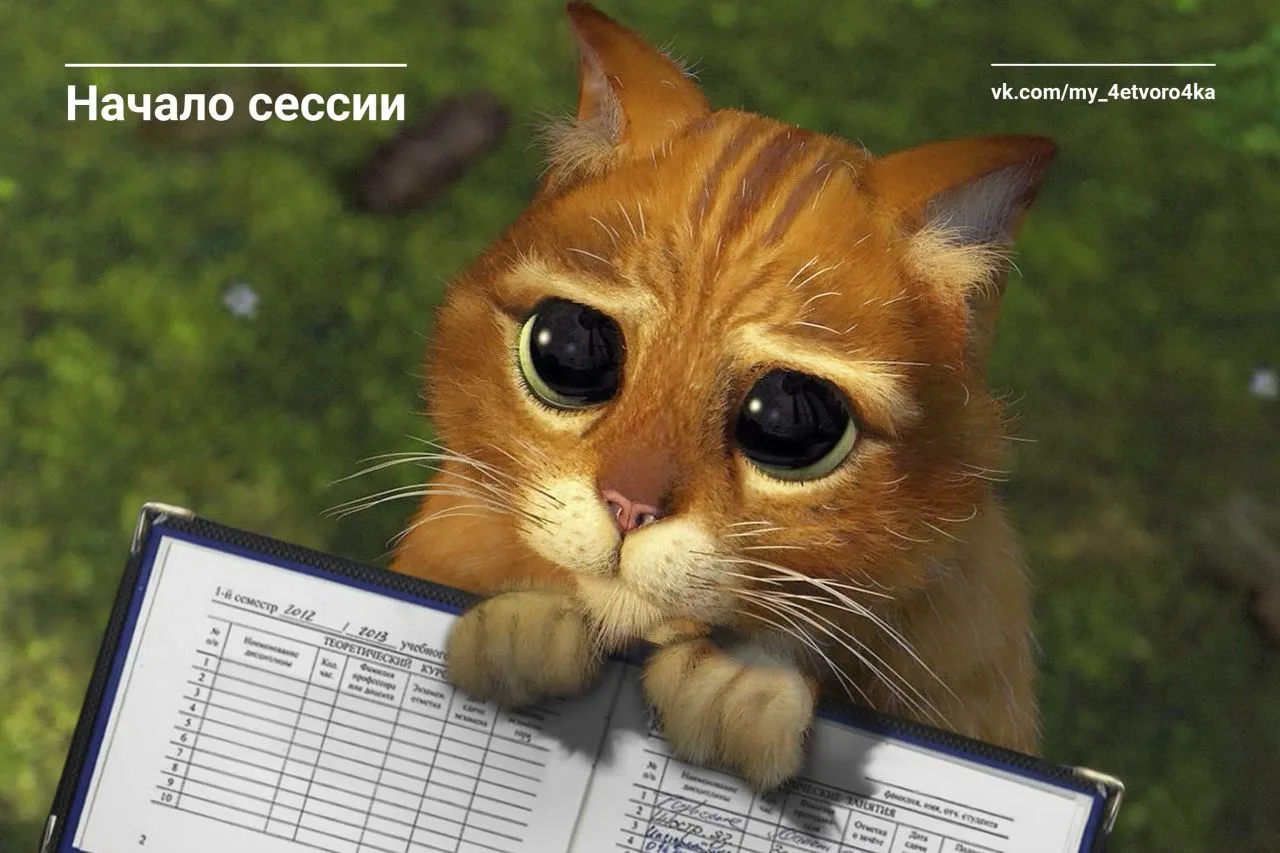 Сессия — это не только испытание, но и возможность проверить себя и стать организованне...