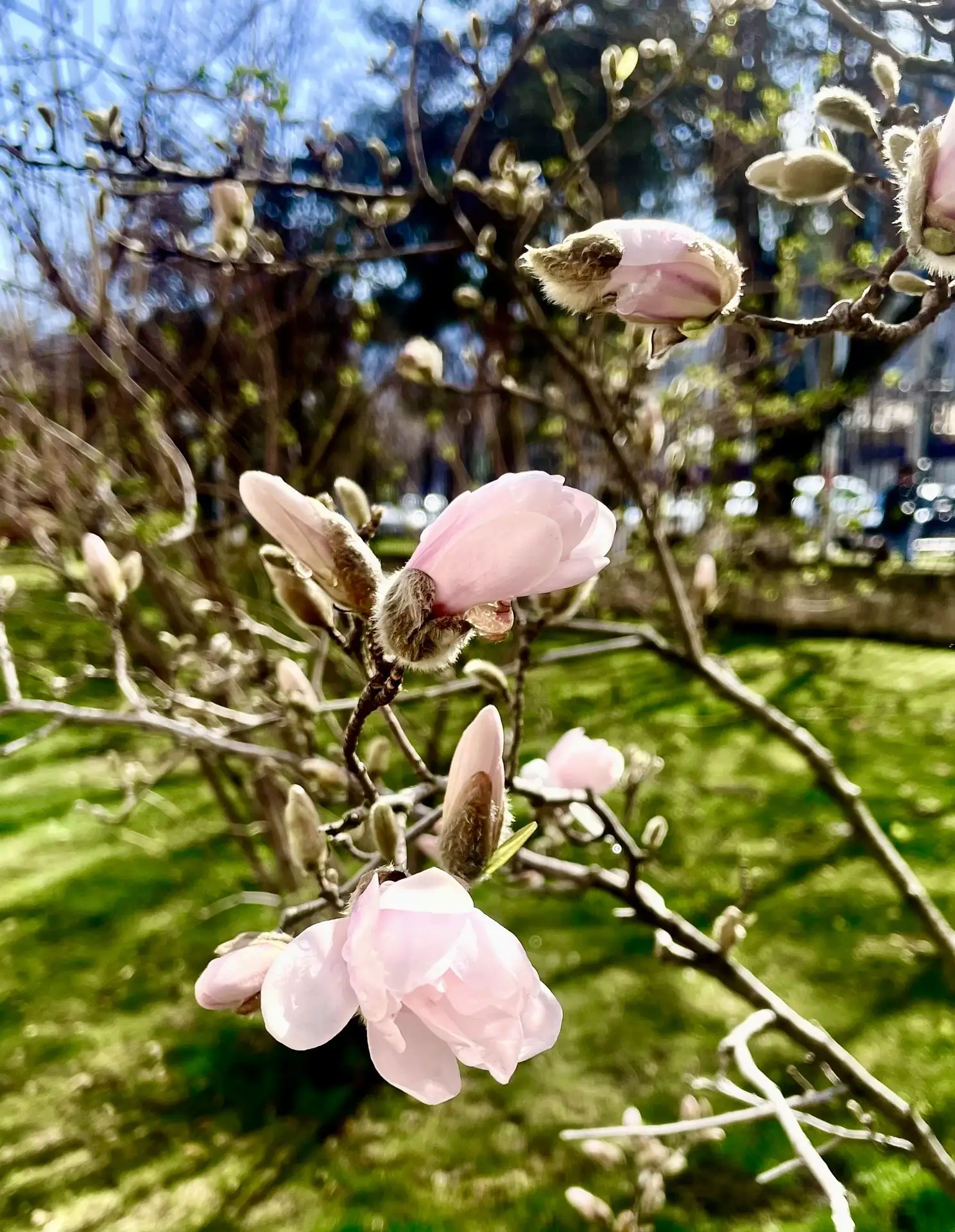 🌸 Доброе субботнее утро!   Позади — насыщенная рабочая неделя.  Впереди — два дня, которые должны пр