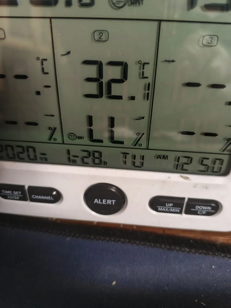 Жара пришла 🥵 как у вас погода?