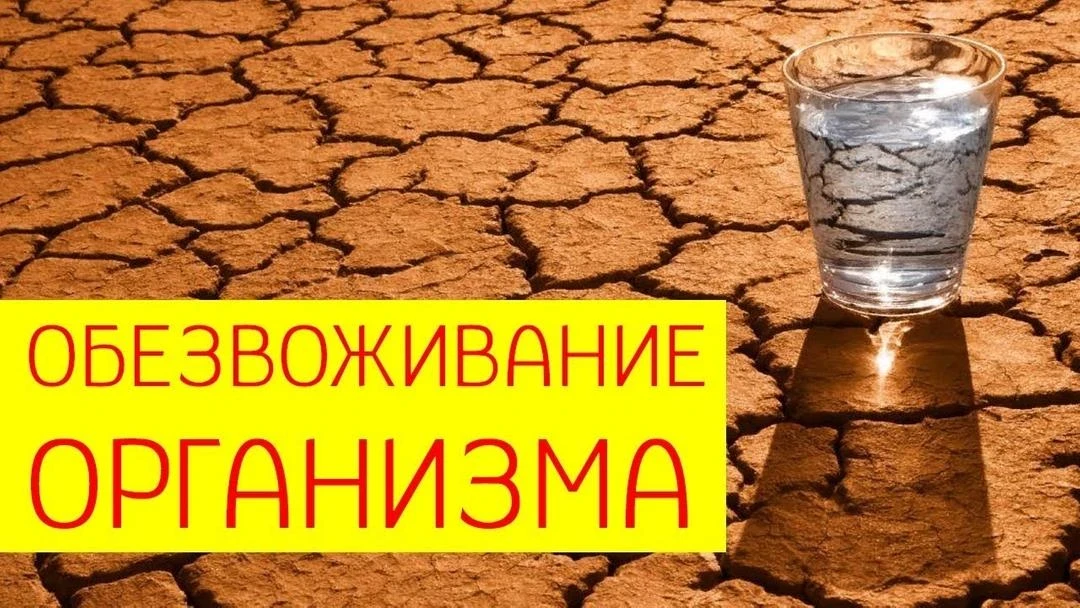 Признаки обезвоживания: как понять, что организм «высох» 
Летом мы теряем воду через пот быстрее, че