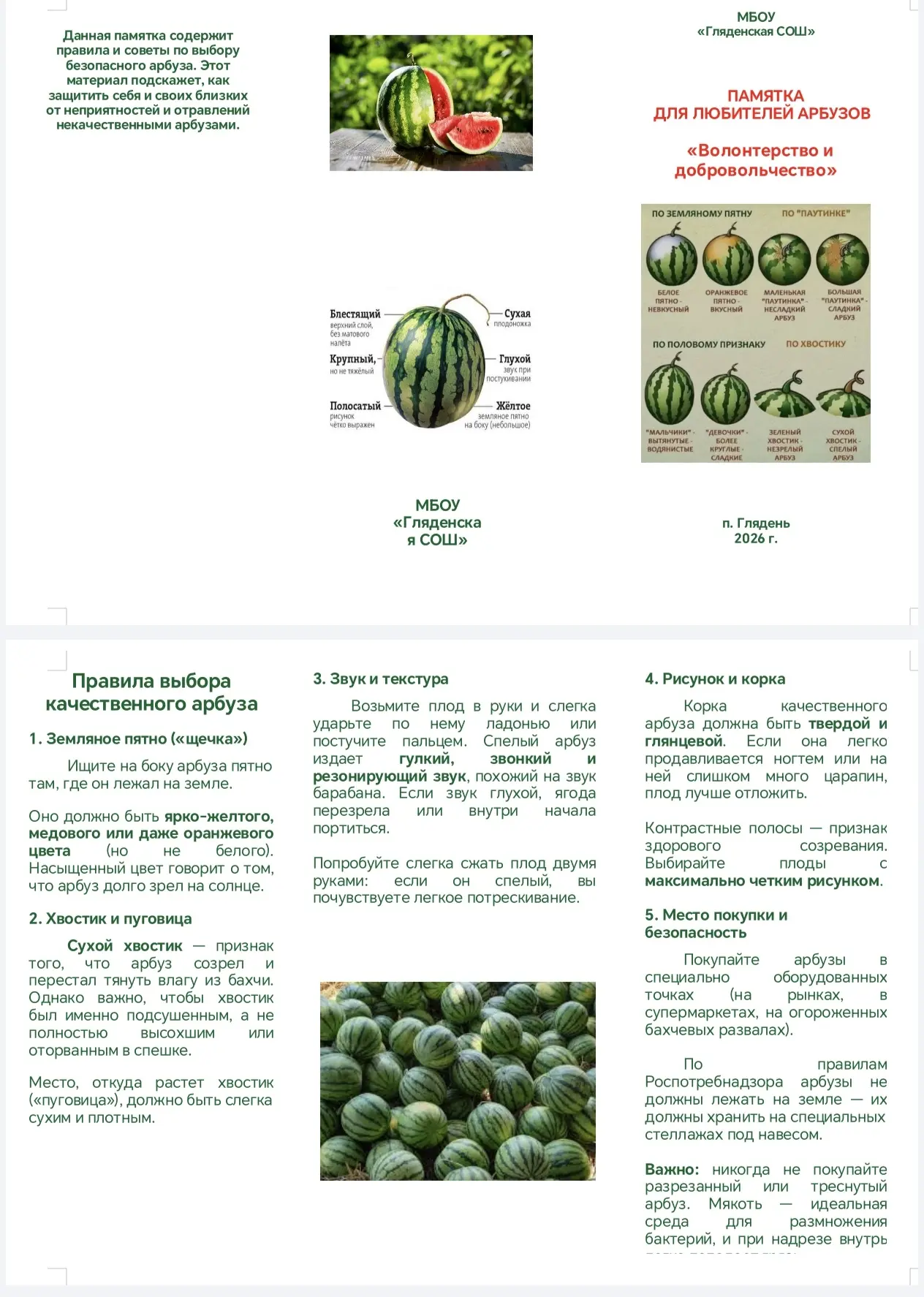 Лето 2026🌿Календарь Первых💫
🍉Арбузная азбука безопасности: как «Непоседы» стали экспертами по лет