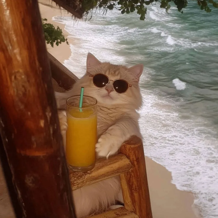 🏖 Ямальцы разлюбили ОАЭ и Черное море  Туроператоры из Нового Уренгоя рассказали: путевки в Дубай по