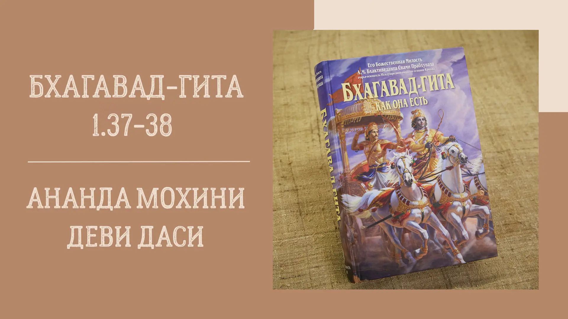 📖 Вечерняя лекция