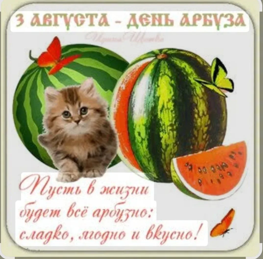Ребята группы N9 "Пчёлки"🐝 поздравляют всех с днём арбуза 🍉