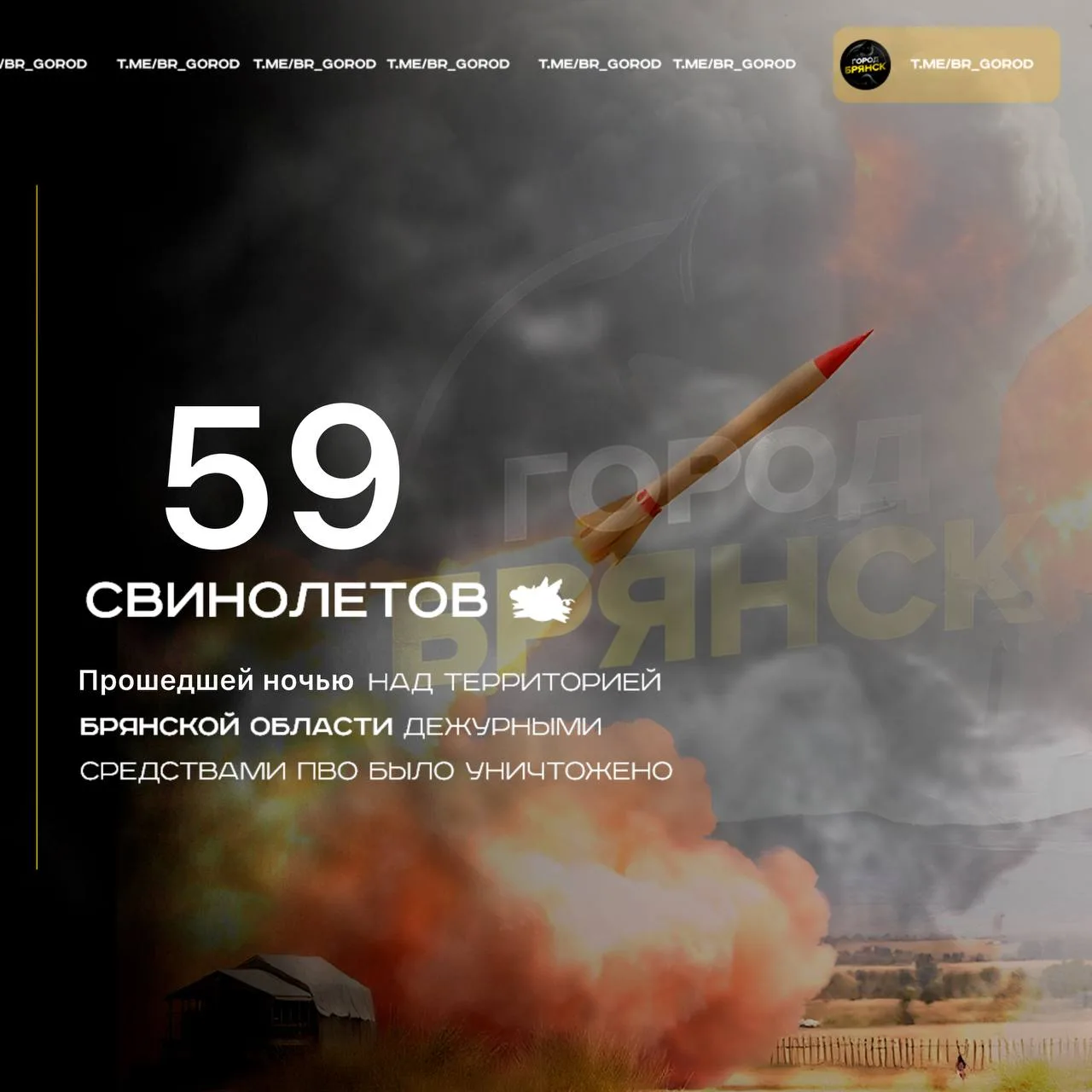 ‼️Оперативная информация. 

Прошедшей ночью над территорией Брянской области подразделениями ПВО Мин
