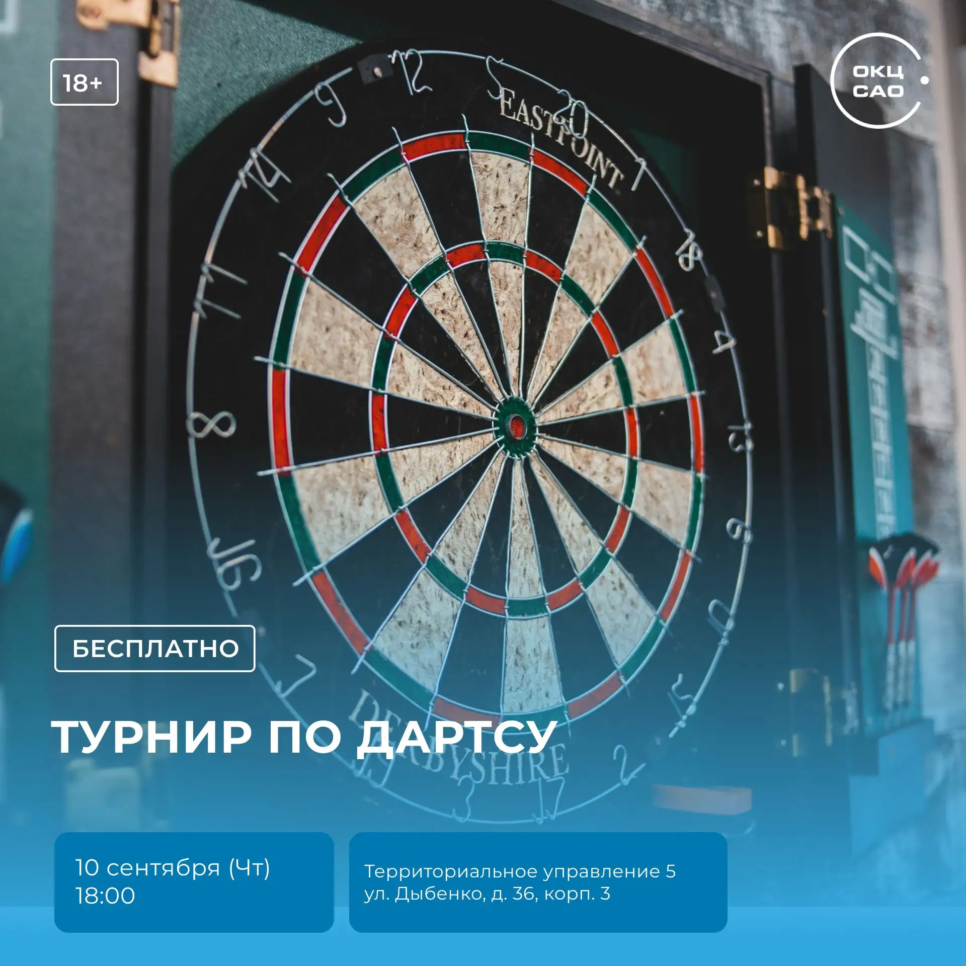 🎯 Турнир по дартсу: арена меткости и выдержки