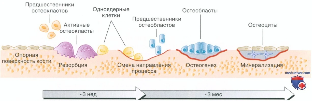 Интересный факт