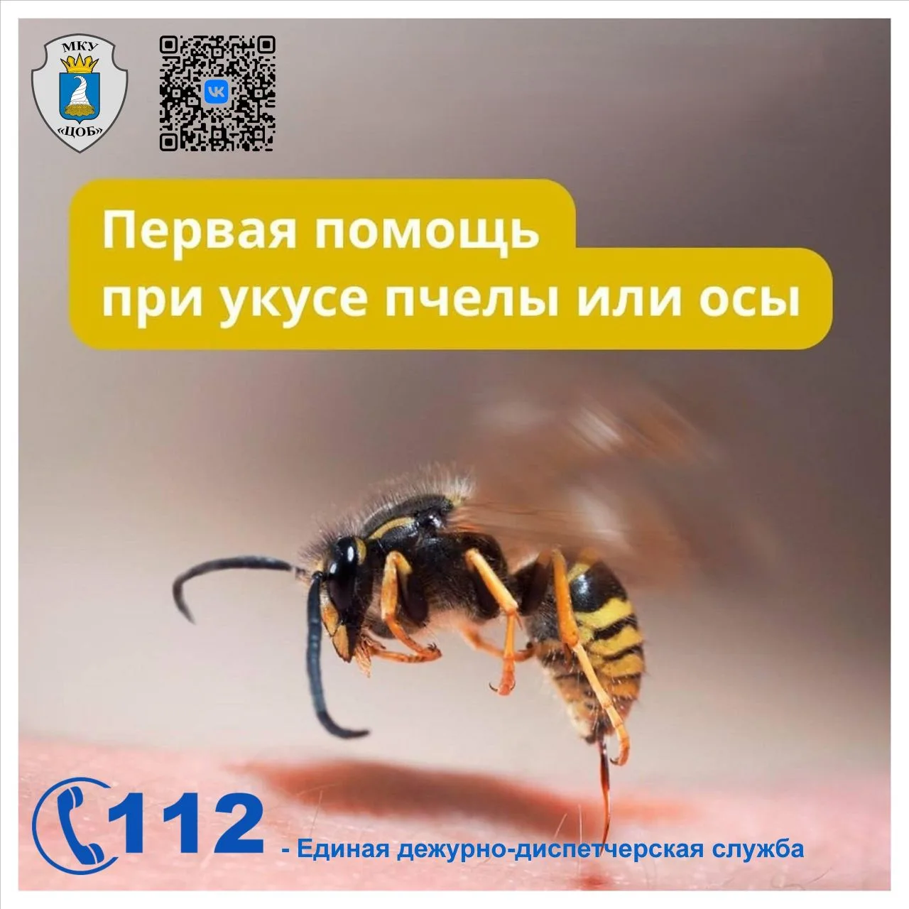 ❗ Правила первой помощи при укусе пчелы или осы!