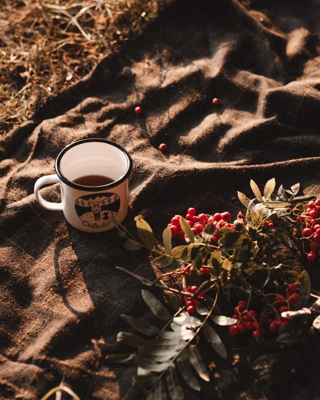 ☕️ ☔️ А дух осени - он в маленьких уютных кафешках, с ароматным кофе и большими окнами,...