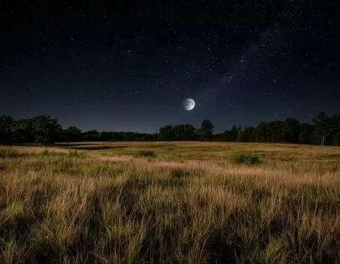 🌑 15 июня жители Воронежской области смогут наблюдать редкое Чёрное суперлуние. 

Спутник приблизит
