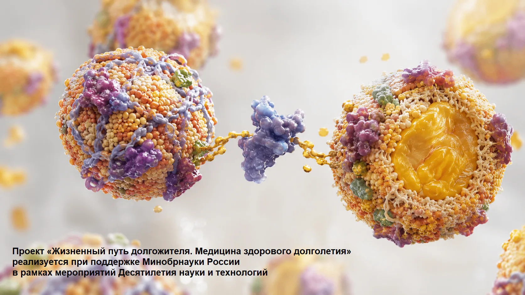 #новостинауки