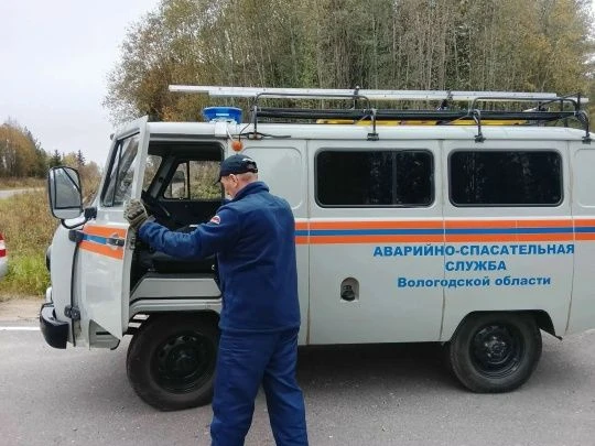 🦊 Спасатели АСС Вологодской области отловили лису в Вожеге