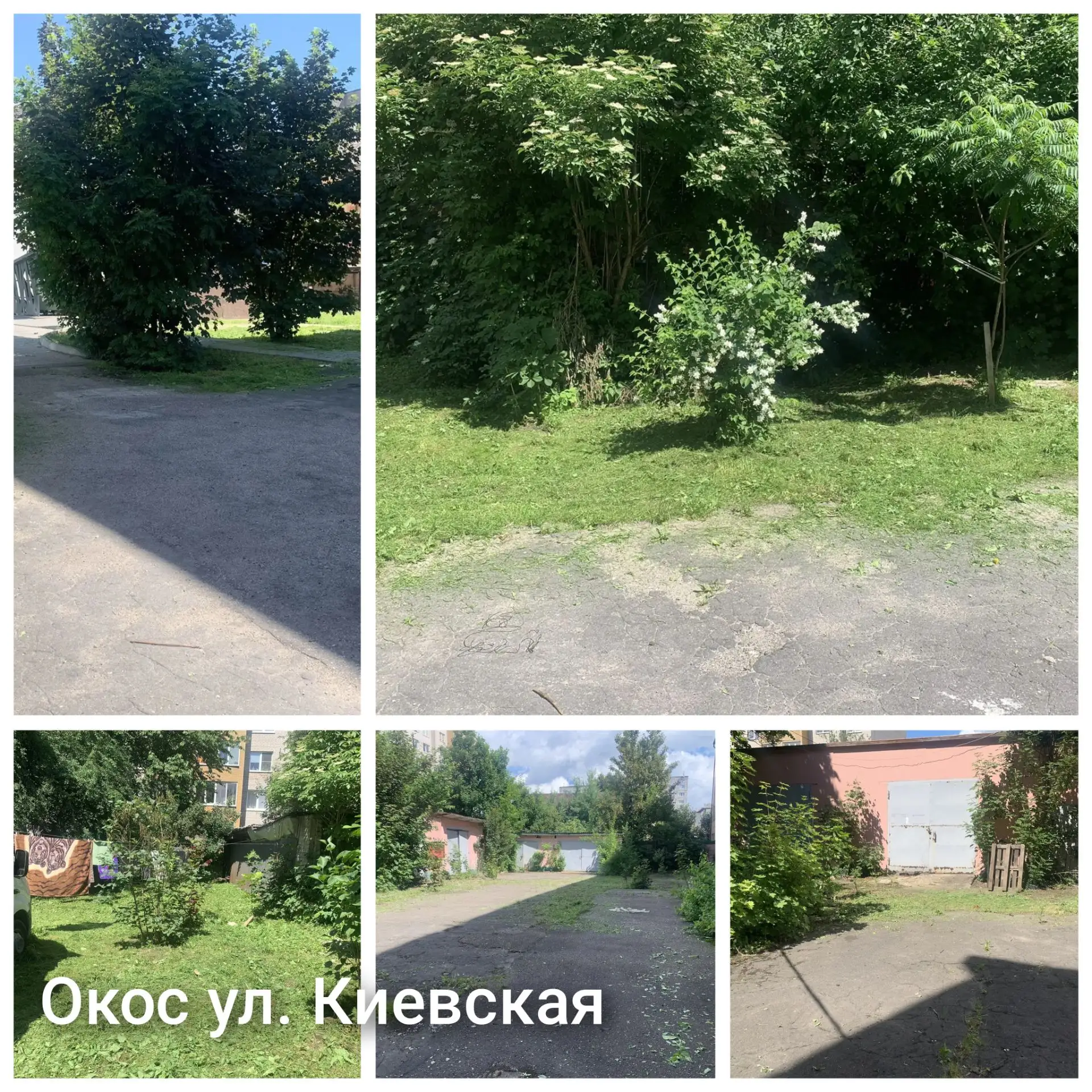Фото отчет- окос