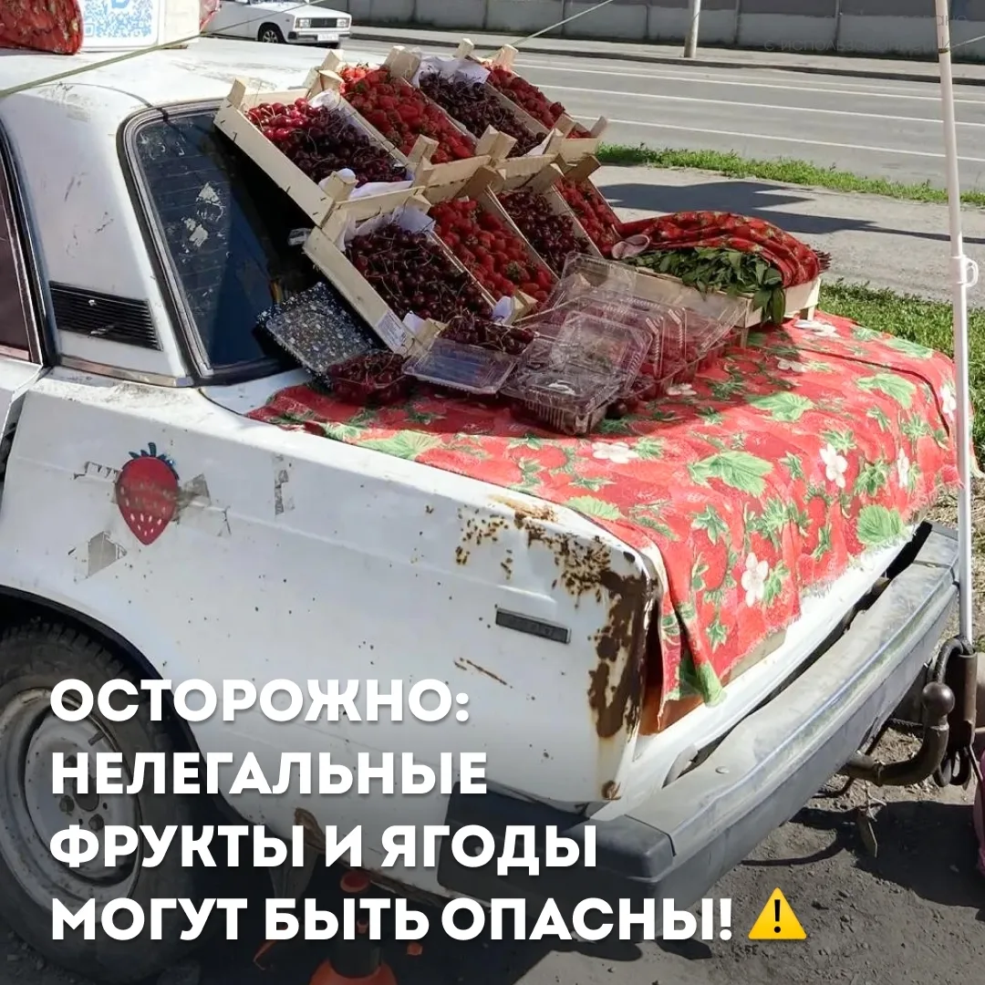 Зелёная Роща | мкр.Взлётка | Красноярск🏡

Осторожно: нелегальные фрукты и ягоды могут быть опасны! 