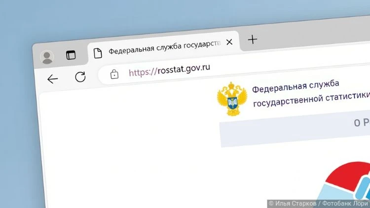 Ваша отчетность станет видимой насквозь: Росстат запускает реестр, который свяжет всех