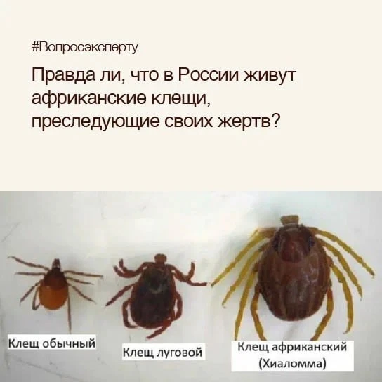 #Вопросэксперту: