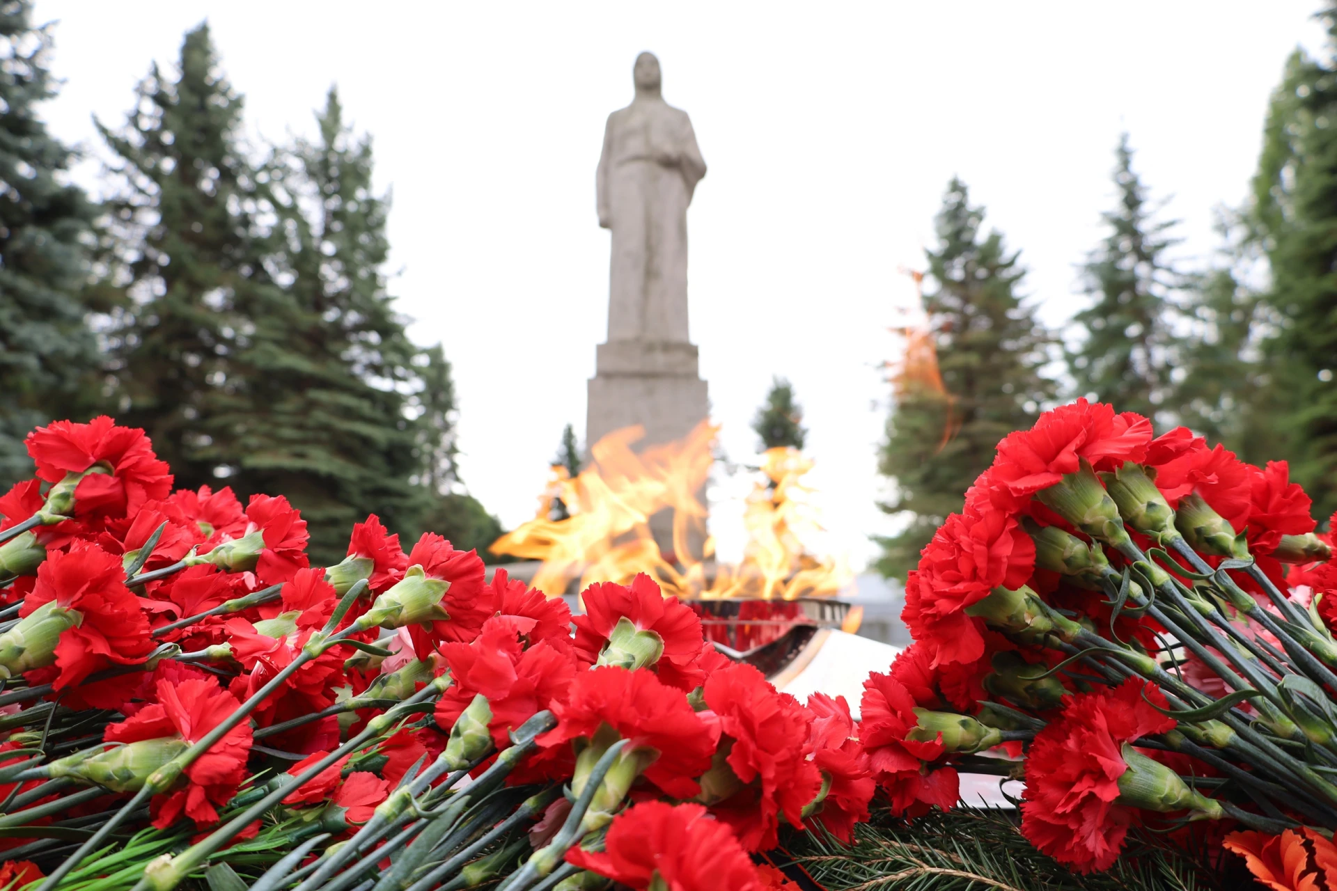 🔥 В Кириллове торжественно зажгли Вечный огонь