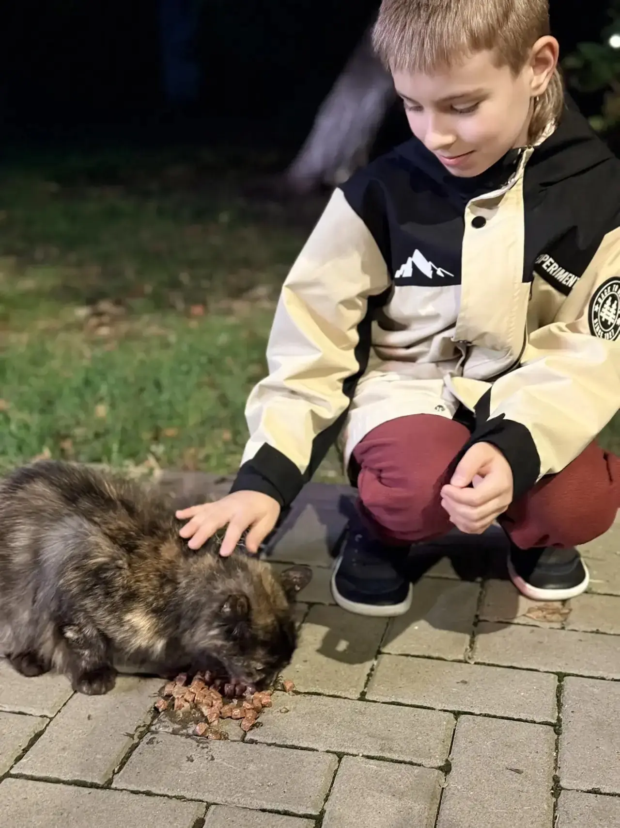 🐾 Акция «Мы в ответе»: 2 «А» класс поддерживает Всемирный день защиты животных!
