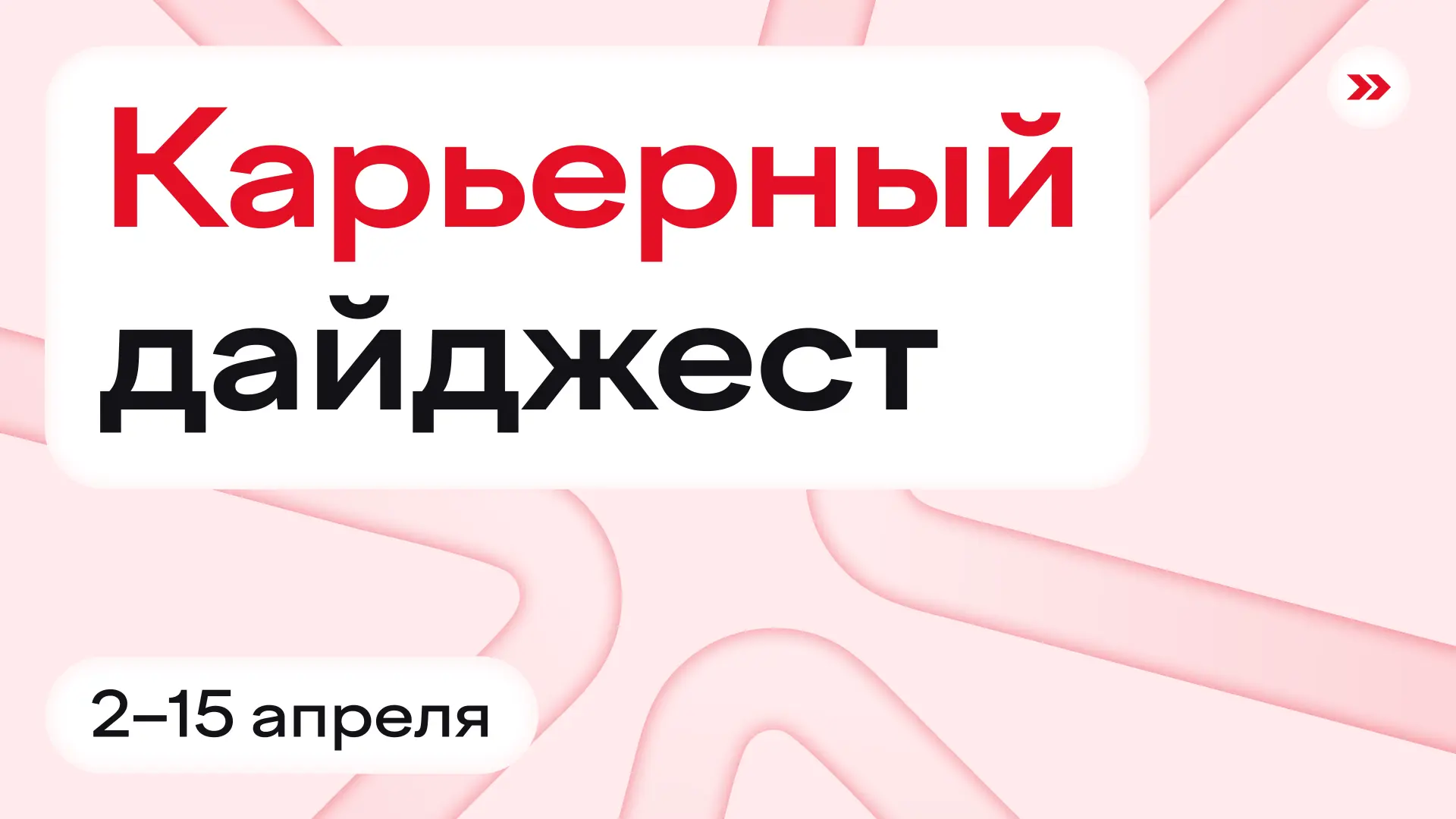 Муся, это ты? Нет, это новый дайджест 🐈‍⬛️ ⠀ ⚡️ Кейс-чемпионаты и хакатоны Альфа-Будущее в Архангель