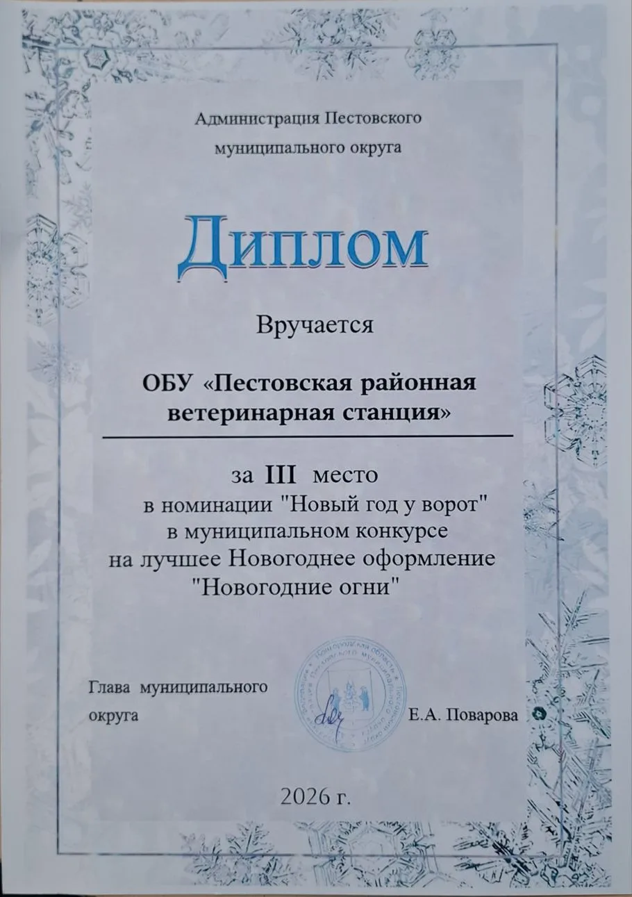 ️⚡️⚡️Мы приняли участие в  муниципальном конкурсе  "НОВОГОДНИЕ ОГНИ" в номинации "Новый...