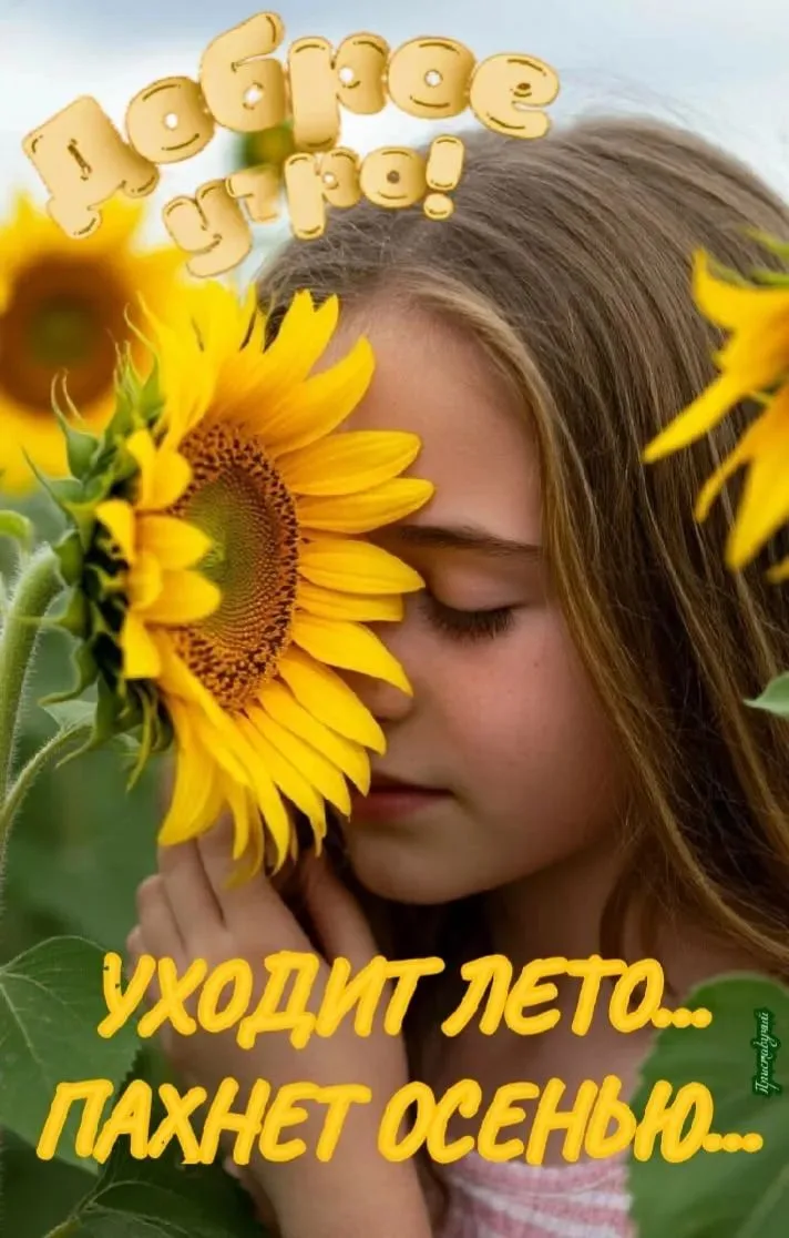 Понравилась открытка? Оставьте, пожалуйста, реакцию 🩷