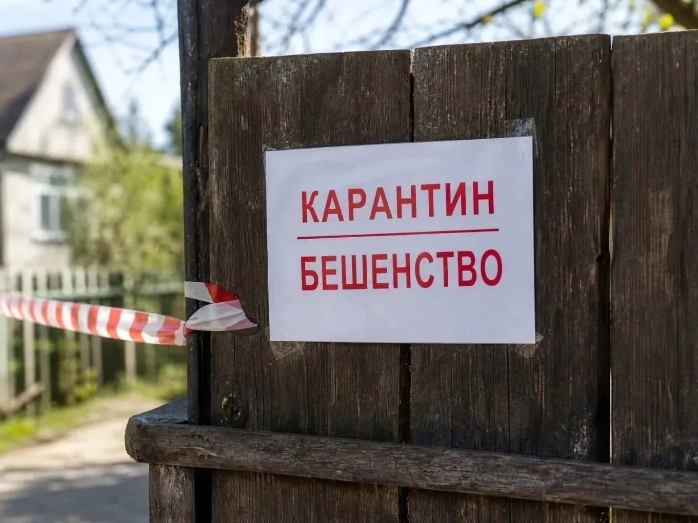 В Кунгурском округе Пермского края введен карантин по бешенству из-за очага в подсобном...
