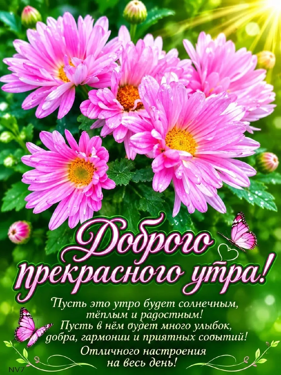🌷 Открытки подписаться 👈