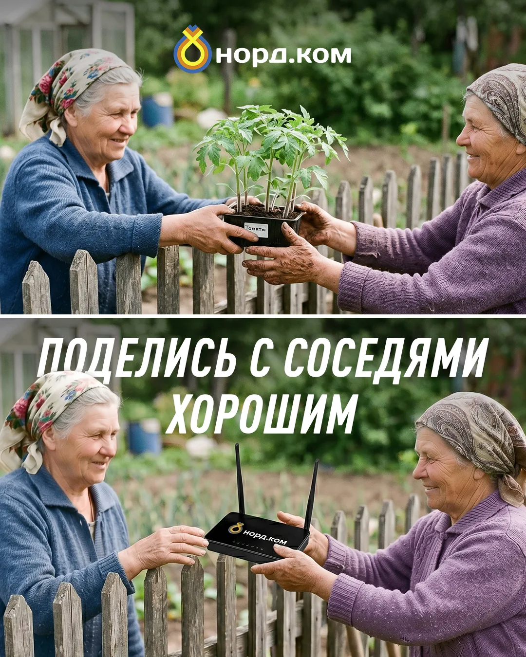 Поделиться рассадой с соседом – дело благородное! А интернетом – еще и выгодное 👍