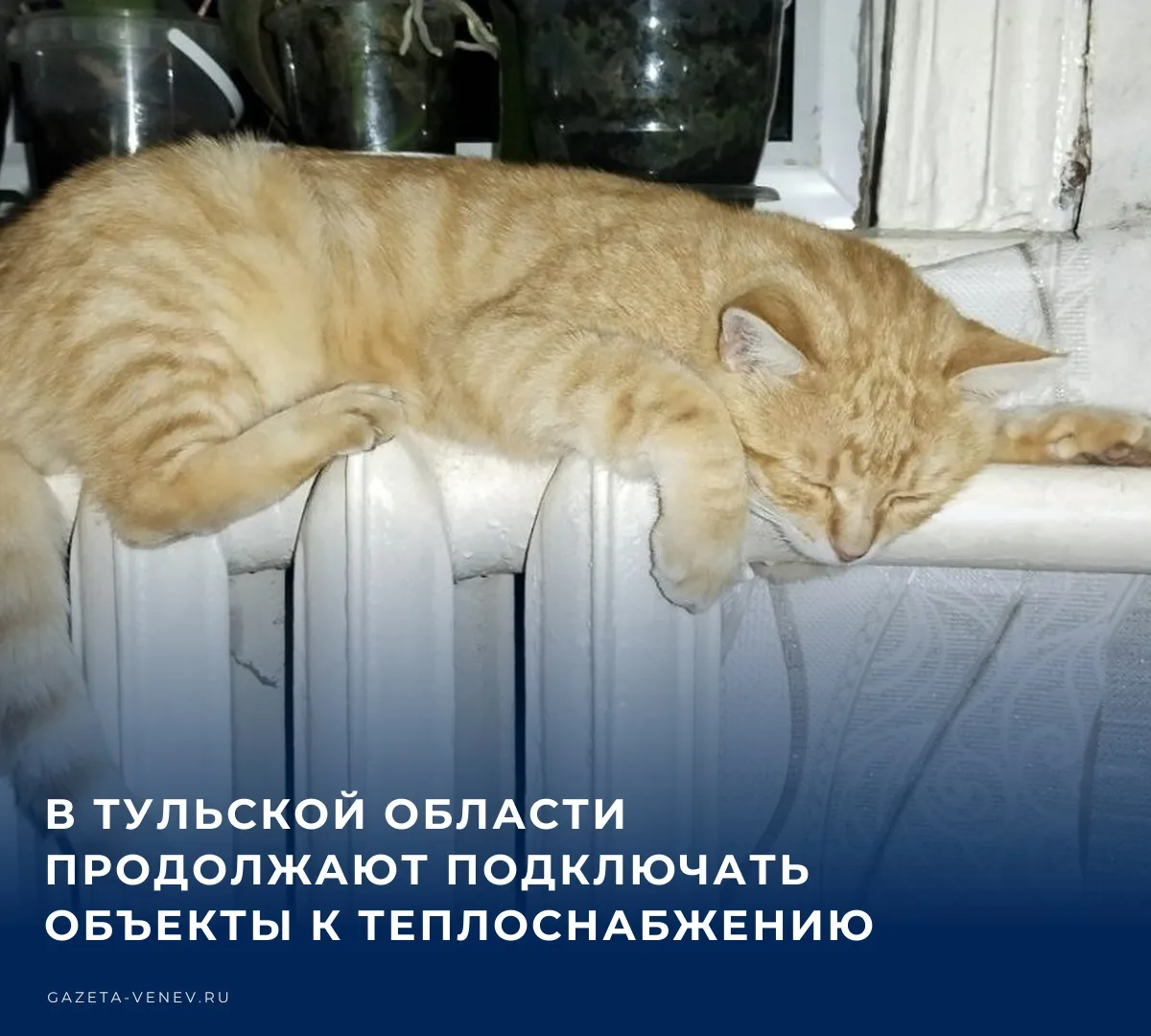 🏠 Как сообщает губернатор Тульской области Дмитрий Миляев в своем канале в МАКС, в рег...