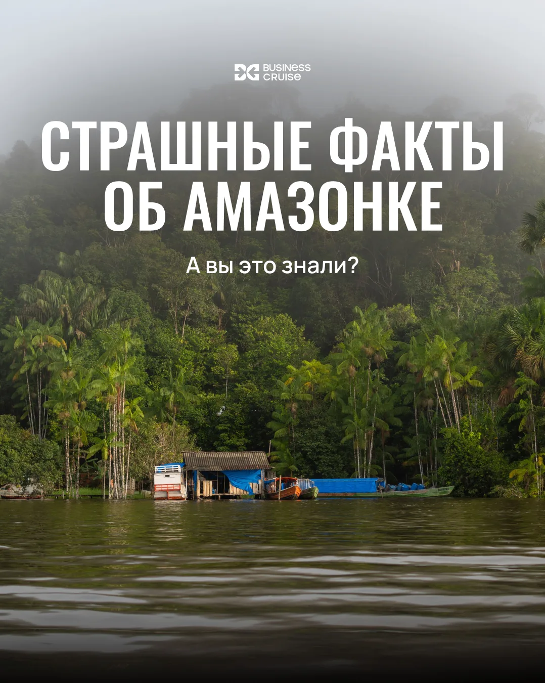 Амазонка может пугать
