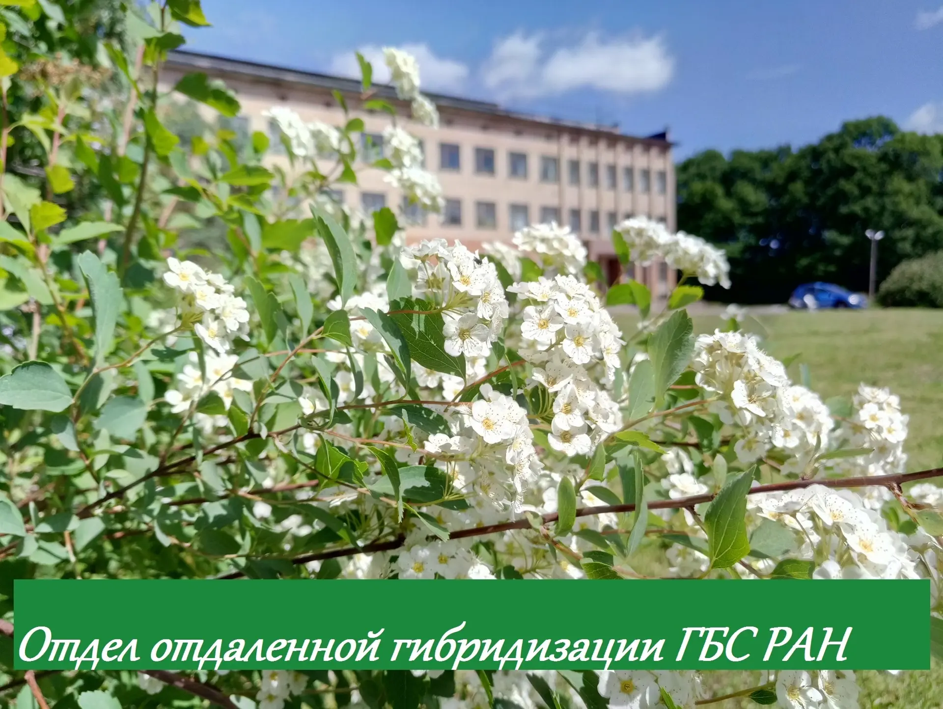 🏛19 июня школьники 4–5 классов из летнего лагеря МОУ «Рождественская СОШ» посетили отд...