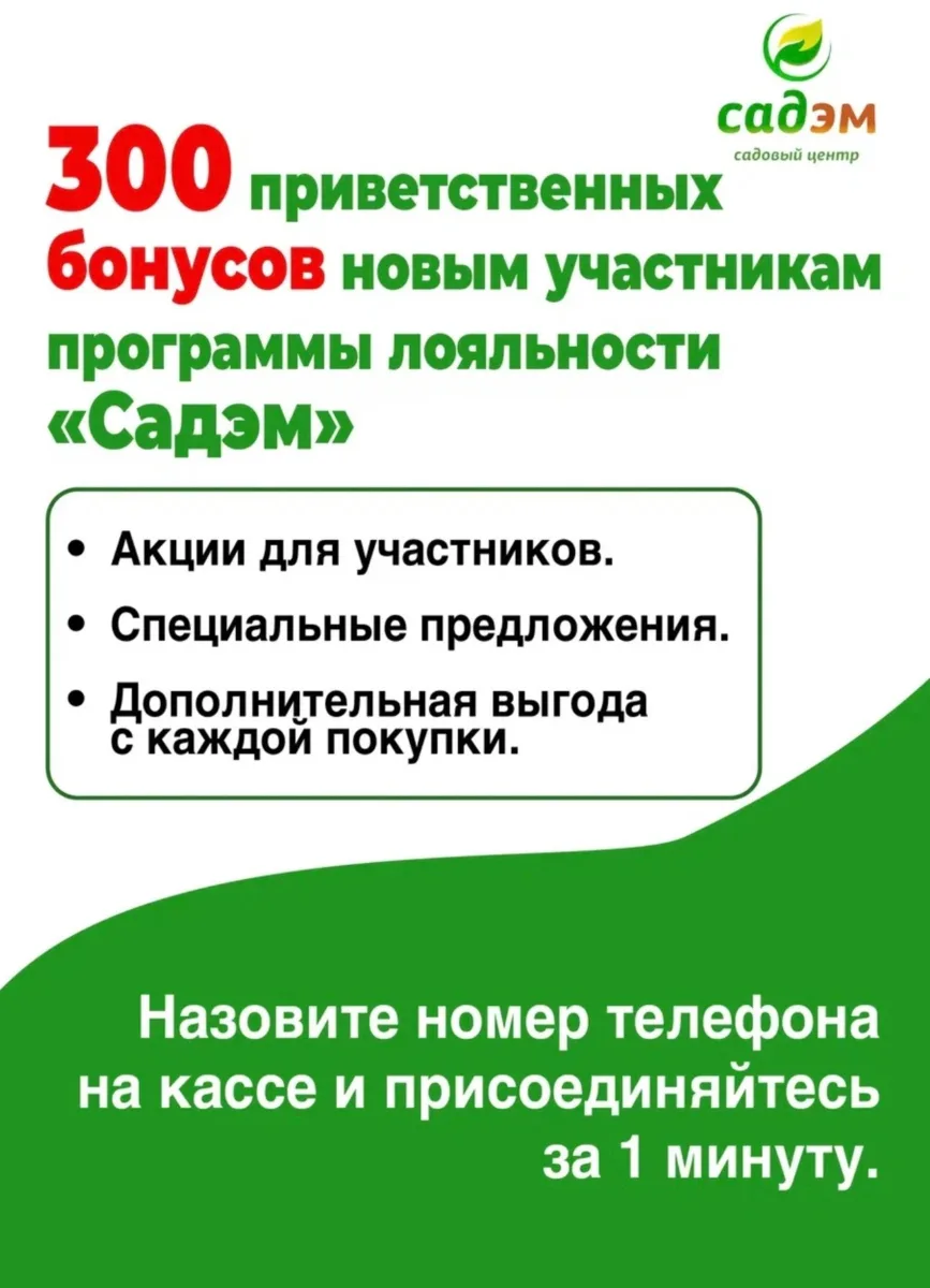 Не упустите свои бонусы!