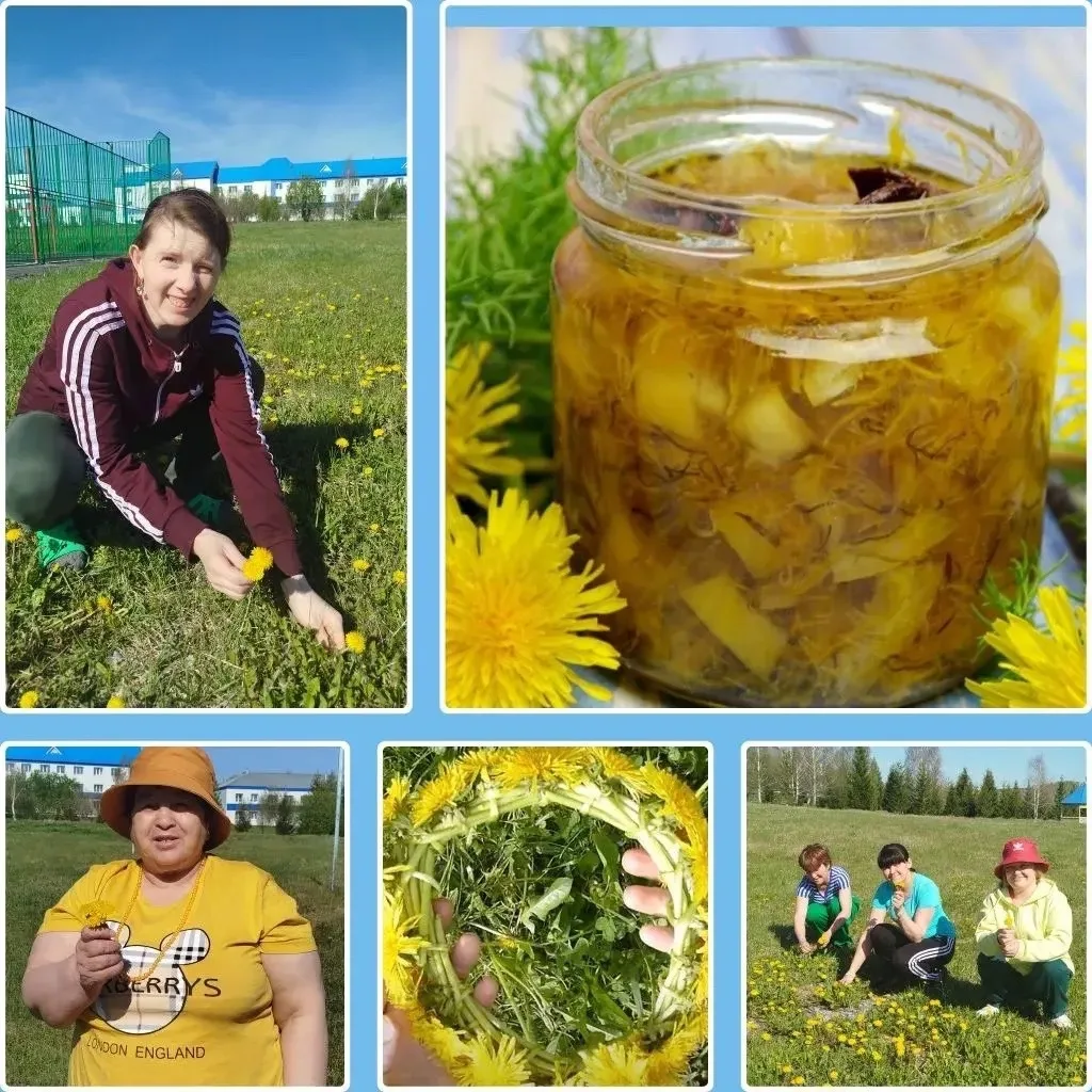 🌞🌞🌞 Солнечный день  в поисках  майского солнца!